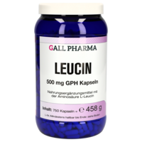 LEUCIN 500 mg GPH Kapseln