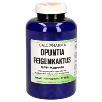 OPUNTIA FEIGENKAKTUS Kapseln