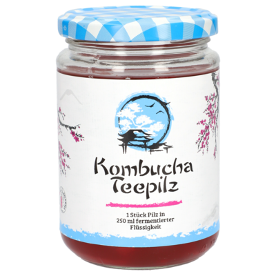 KOMBUCHA TEEPILZ