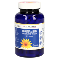 TOPINAMBUR AMINOSÄURE Vitamine GPH Kapseln