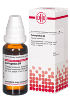 COLOCYNTHIS D 4 Dilution