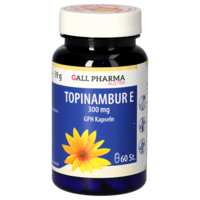 TOPINAMBUR E 300 mg GPH Kapseln