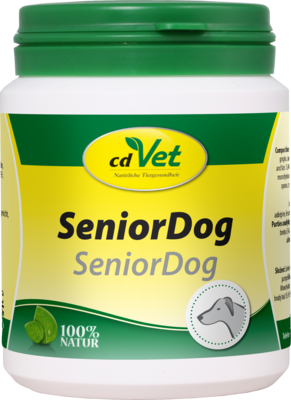 SENIOR Dog