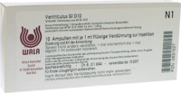 VENTRICULUS GL D 10 Ampullen