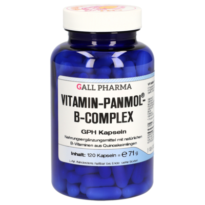 VITAMIN-PANMOL-B-Complex GPH Kapseln