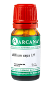 ALLIUM CEPA LM 4 Dilution