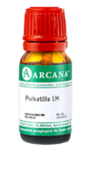 PULSATILLA LM 110 Dilution