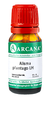 ALISMA plantago LM 120 Dilution