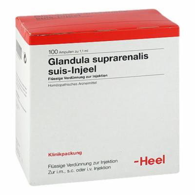 GLANDULA SUPRARENALIS suis Injeel Ampullen