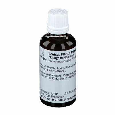 ARNICA PLANTA tota D 6 Dilution