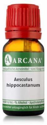 AESCULUS HIPPOCASTANUM LM 6 Dilution