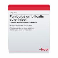 FUNICULUS UMBILICALIS suis Injeel Ampullen