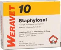 STAPHYLOSAL 10 Ampullen vet.